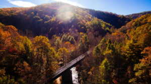Optometrists In Virginia - Virginians Together